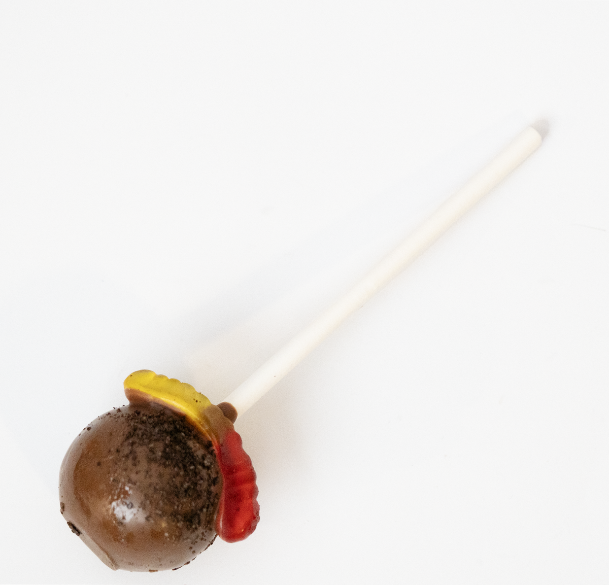 Dirt and Worms Chocolate Cake Pop