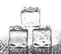 Ice Pack